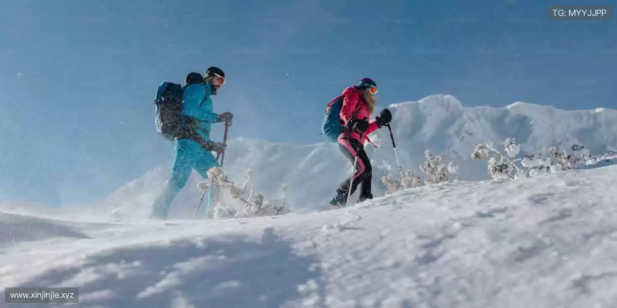 🎉 观赛互动,赢取限量版周边不是梦!🎁